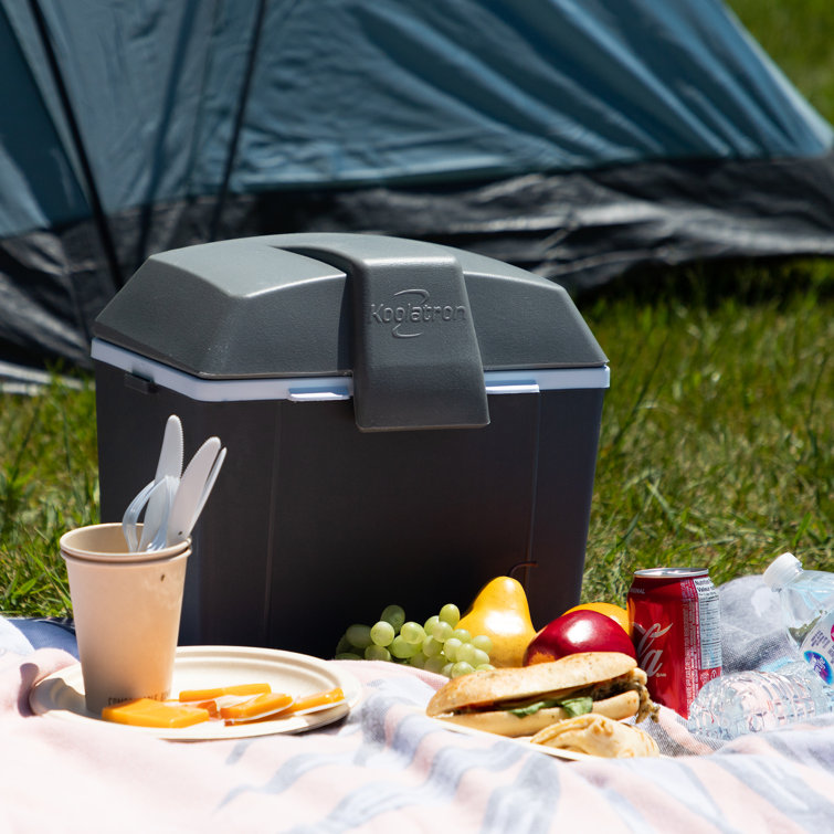 Electric best sale camping cooler